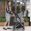 Foldable Dog Cat Stroller with Removable Waterproof Cover