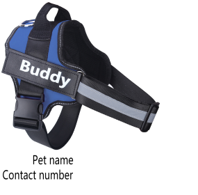 Dog Harness No Pull Reflective Breathable Adjustable Pet (Option: Blue-M)