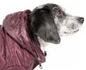 Lightweight Adjustable 'Sporty Avalanche' Pet Coat